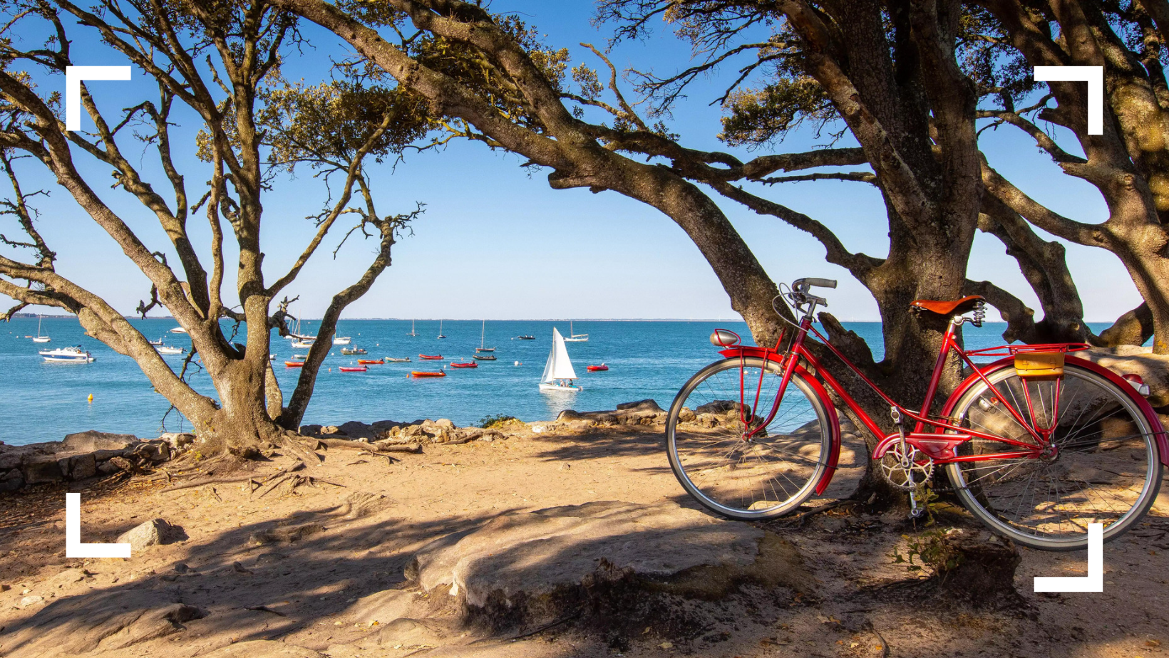 Visiter noirmoutier à vélo